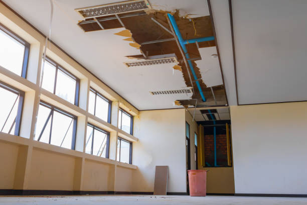Best Flooded house restoration  in La Palma, CA