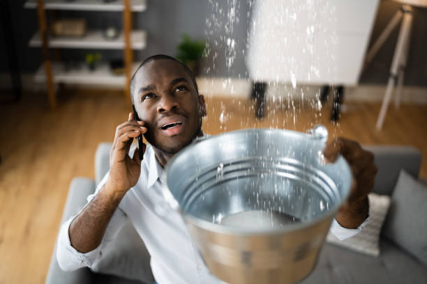 Best Flood restoration services  in La Palma, CA