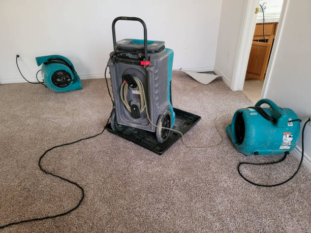 Best Water damage contractors near me  in La Palma, CA