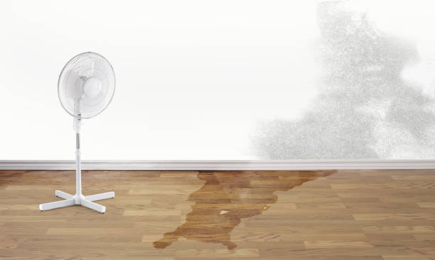 Best Water damage contractors near me  in La Palma, CA
