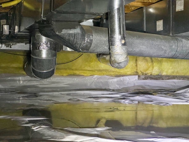 Best Water damage restoration near me  in La Palma, CA