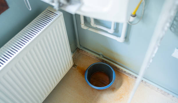 Best Basement water damage restoration  in La Palma, CA