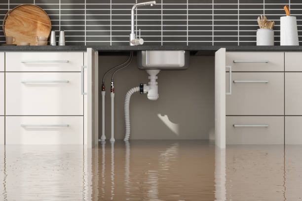 Best Water damage cleanup near me  in La Palma, CA