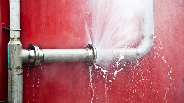Best Water damage repair service  in La Palma, CA